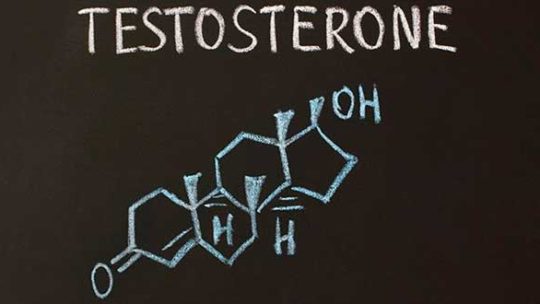 Testosterona: Características de testosterona alta